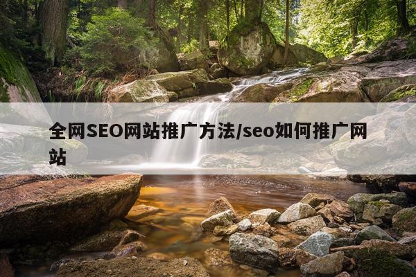 全网SEO网站推广方法/seo如何推广网站