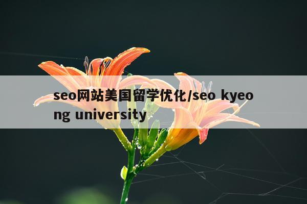 seo网站美国留学优化/seo kyeong university