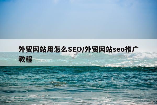 外贸网站用怎么SEO/外贸网站seo推广教程