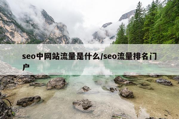 seo中网站流量是什么/seo流量排名门户