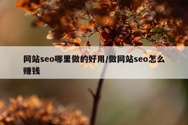 网站seo哪里做的好用/做网站seo怎么赚钱