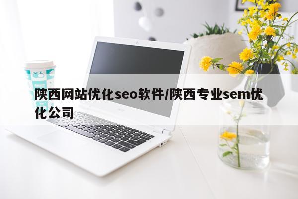 陕西网站优化seo软件/陕西专业sem优化公司