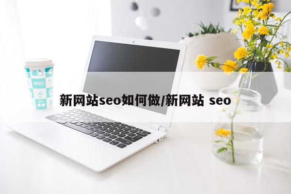 新网站seo如何做/新网站 seo