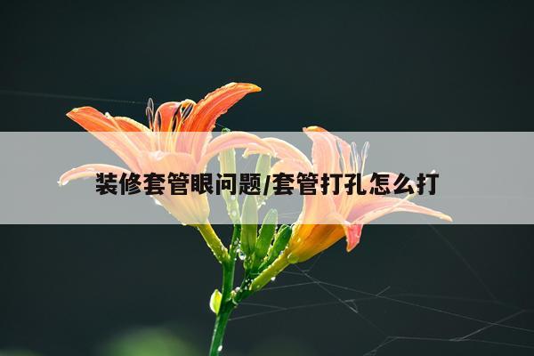 装修套管眼问题/套管打孔怎么打