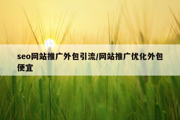 seo网站推广外包引流/网站推广优化外包便宜