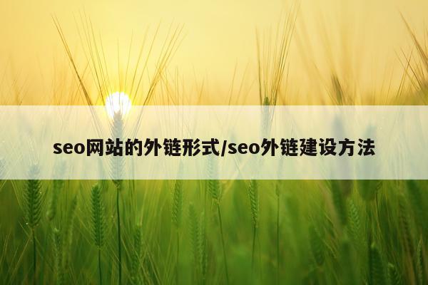 seo网站的外链形式/seo外链建设方法