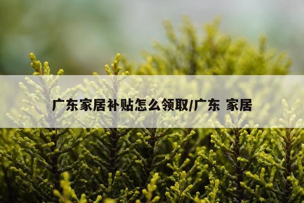 广东家居补贴怎么领取/广东 家居