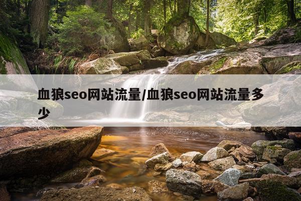 血狼seo网站流量/血狼seo网站流量多少