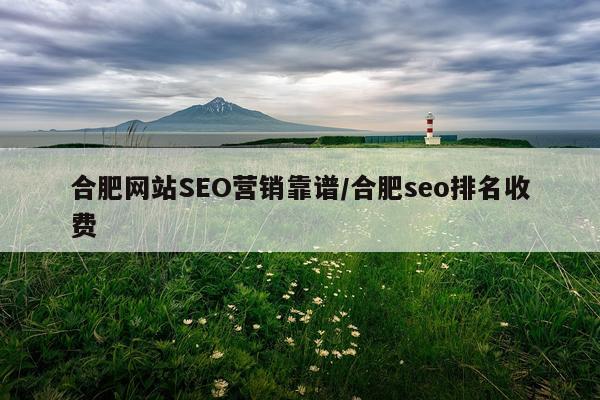 合肥网站SEO营销靠谱/合肥seo排名收费