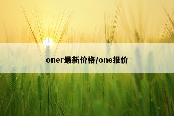 oner最新价格/one报价