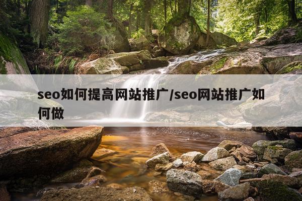 seo如何提高网站推广/seo网站推广如何做