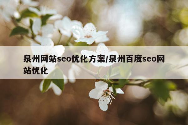 泉州网站seo优化方案/泉州百度seo网站优化