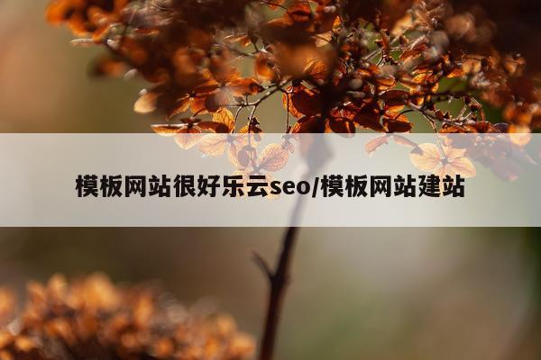 模板网站很好乐云seo/模板网站建站