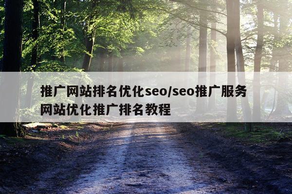 推广网站排名优化seo/seo推广服务 网站优化推广排名教程