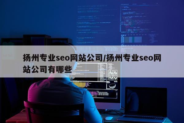 扬州专业seo网站公司/扬州专业seo网站公司有哪些