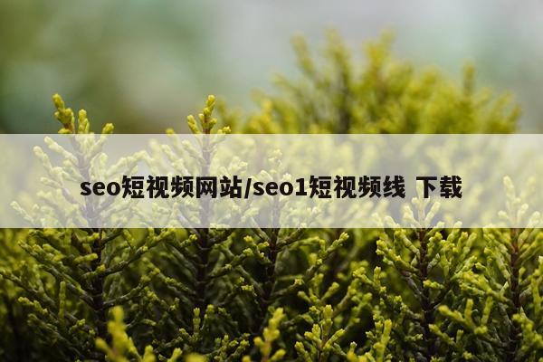 seo短视频网站/seo1短视频线 下载