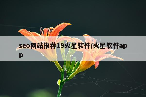 seo网站推荐19火星软件/火星软件app
