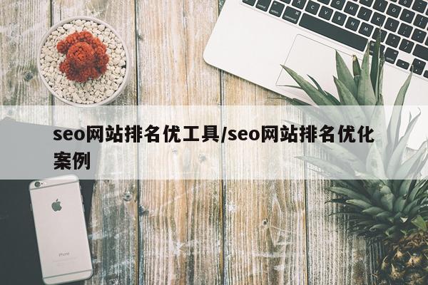 seo网站排名优工具/seo网站排名优化案例