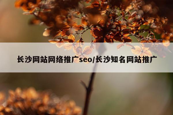 长沙网站网络推广seo/长沙知名网站推广