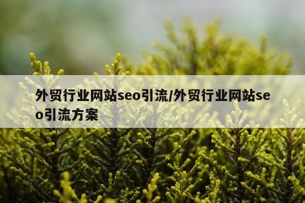 外贸行业网站seo引流/外贸行业网站seo引流方案