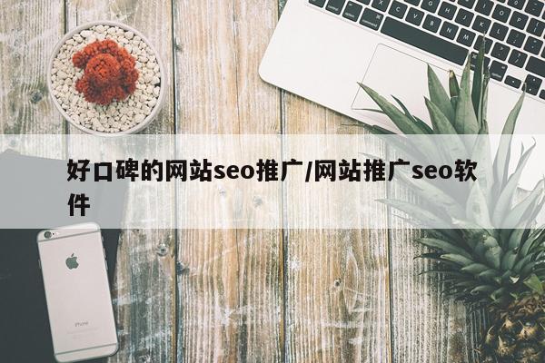 好口碑的网站seo推广/网站推广seo软件
