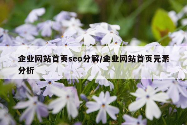 企业网站首页seo分解/企业网站首页元素分析