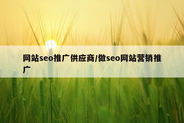 网站seo推广供应商/做seo网站营销推广