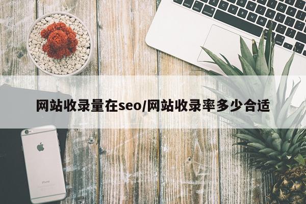 网站收录量在seo/网站收录率多少合适