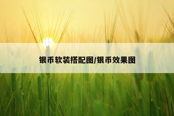 银币软装搭配图/银币效果图