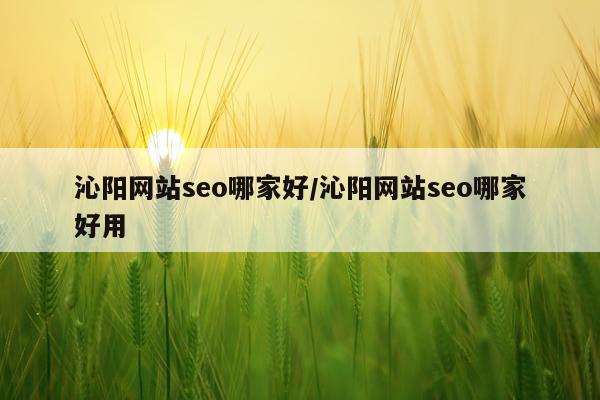 沁阳网站seo哪家好/沁阳网站seo哪家好用