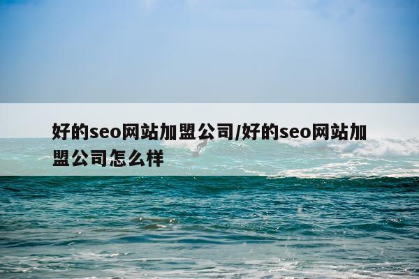好的seo网站加盟公司/好的seo网站加盟公司怎么样