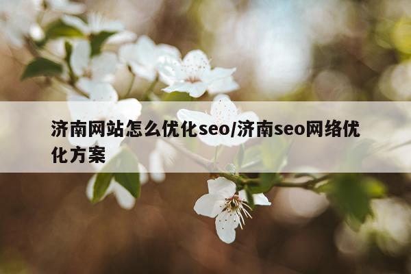 济南网站怎么优化seo/济南seo网络优化方案