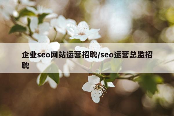企业seo网站运营招聘/seo运营总监招聘