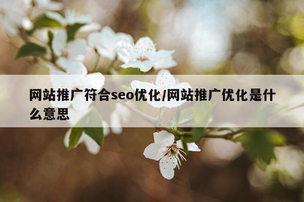 网站推广符合seo优化/网站推广优化是什么意思
