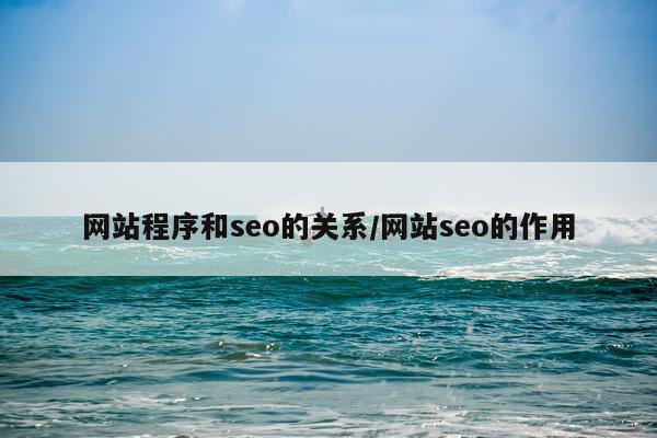 网站程序和seo的关系/网站seo的作用