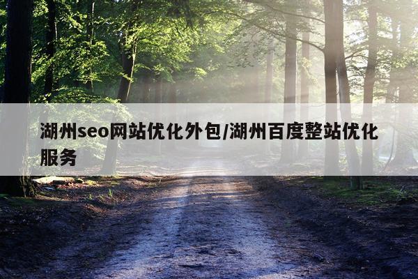 湖州seo网站优化外包/湖州百度整站优化服务