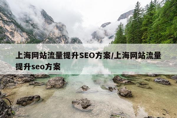 上海网站流量提升SEO方案/上海网站流量提升seo方案