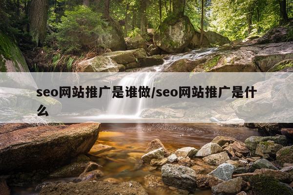 seo网站推广是谁做/seo网站推广是什么