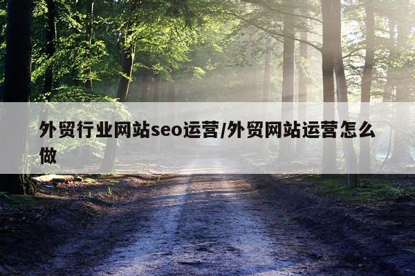 外贸行业网站seo运营/外贸网站运营怎么做
