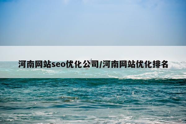 河南网站seo优化公司/河南网站优化排名