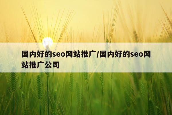国内好的seo网站推广/国内好的seo网站推广公司