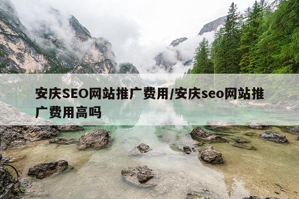 安庆SEO网站推广费用/安庆seo网站推广费用高吗