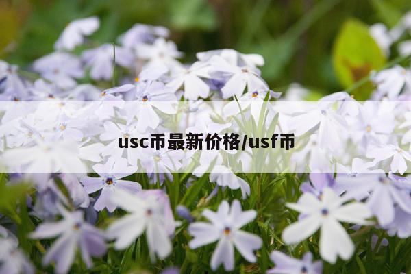 usc币最新价格/usf币