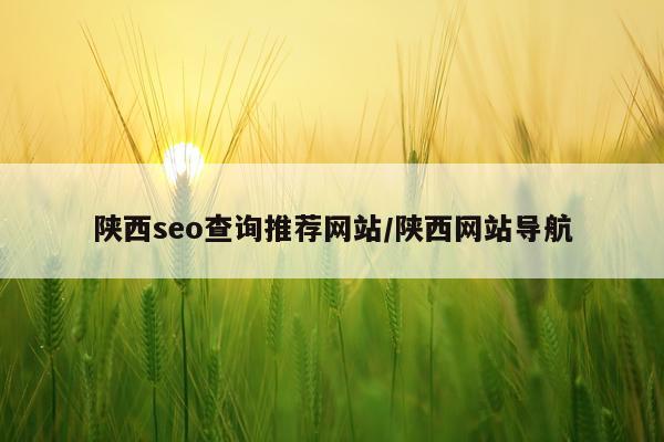 陕西seo查询推荐网站/陕西网站导航