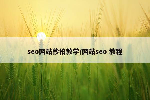 seo网站秒拍教学/网站seo 教程