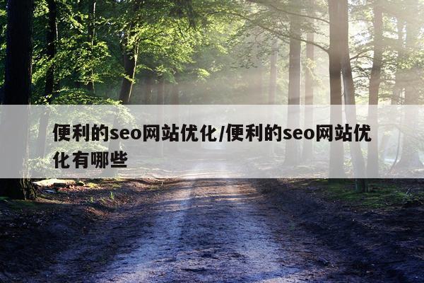 便利的seo网站优化/便利的seo网站优化有哪些