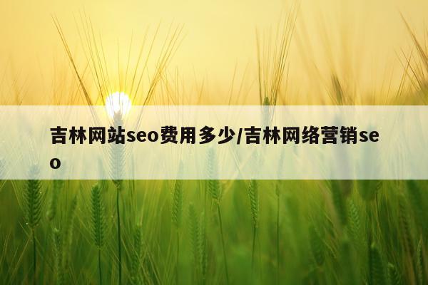 吉林网站seo费用多少/吉林网络营销seo
