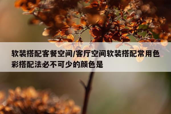 软装搭配客餐空间/客厅空间软装搭配常用色彩搭配法必不可少的颜色是
