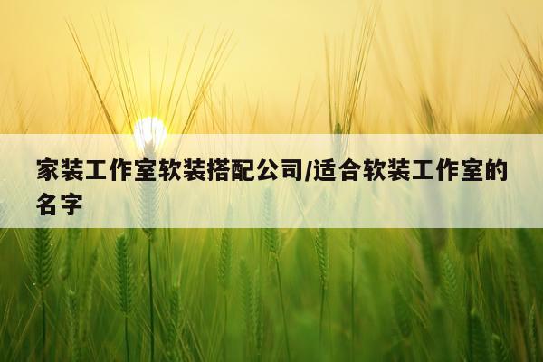 家装工作室软装搭配公司/适合软装工作室的名字