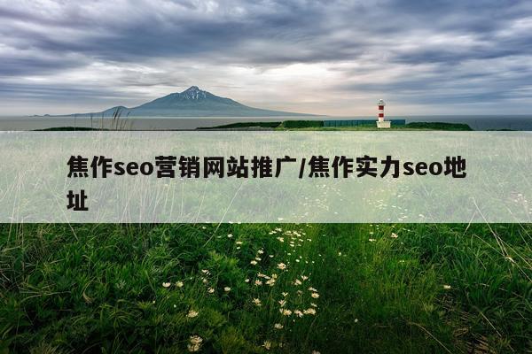 焦作seo营销网站推广/焦作实力seo地址